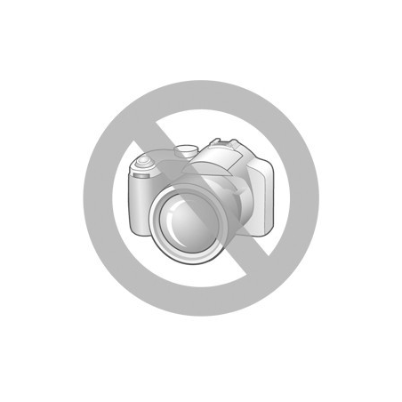 alternateur-psh-124434-205.511.070.608