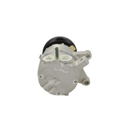 compresseur-climatisation-delphi-tsp0155516-090.835.069.240