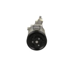 compresseur-climatisation-plus-line-pxc14-8422pplus-090.305.001.876