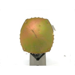 alternateur-remy-delco-19010001-646.006.050.390