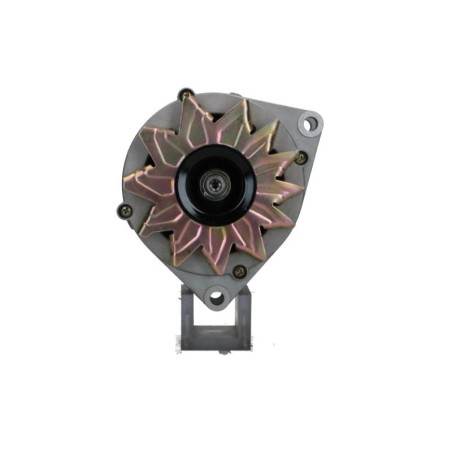 alternateur-mahle-mg459-555.018.100.311