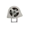 alternateur-lucas-lea0109-596.002.030.320