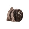 Alternateur 12-14V 75A 